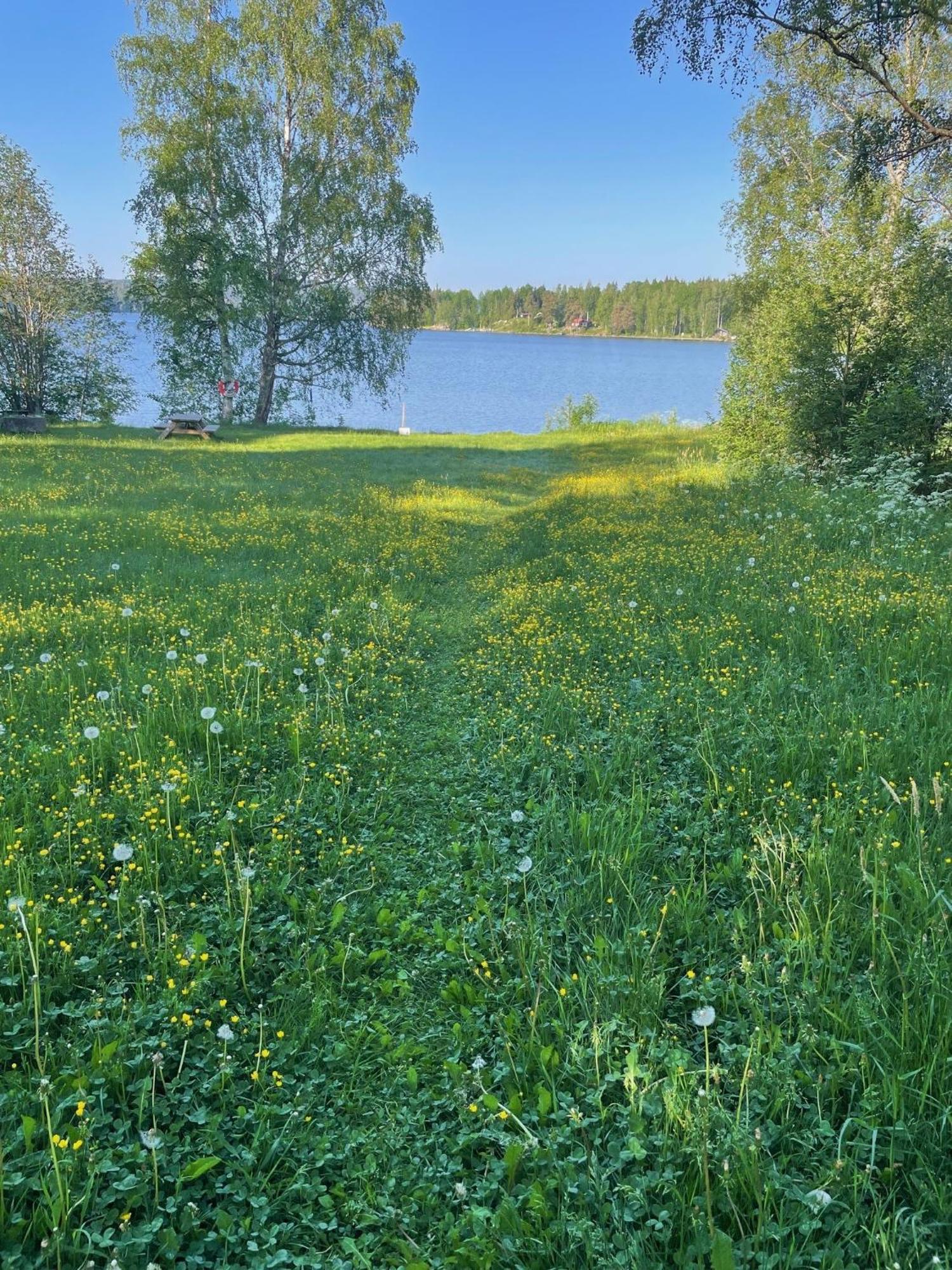 Brunnsvik Hotell & Konferens Ludvika Luaran gambar